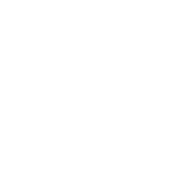 Tortilla Chips icon